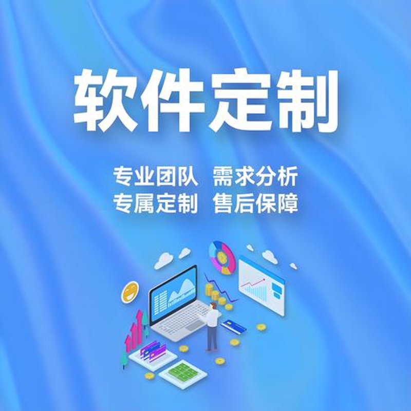 定制软件开发
